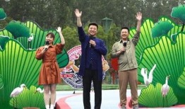 沃神最新爆料误判视频大全,最新误判视频大全深度解析